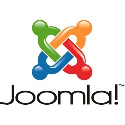 Joomla Website