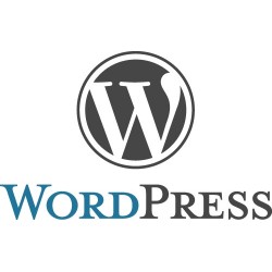 Wordpress Website