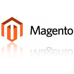 Magento Website