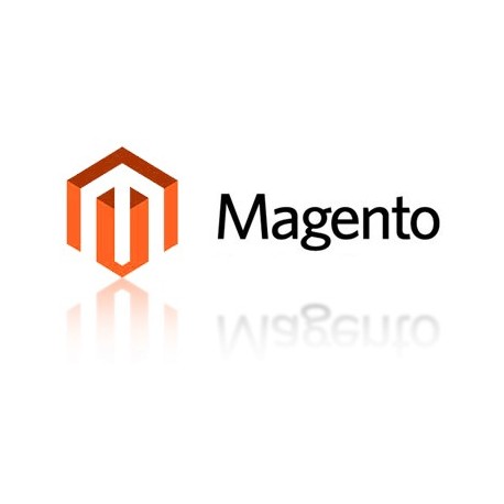 Magento Website